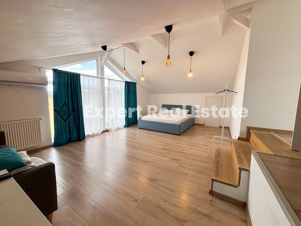 APARTAMENT SPATIOS 2 CAMERE-AEROPORT-PET FRIENDLY