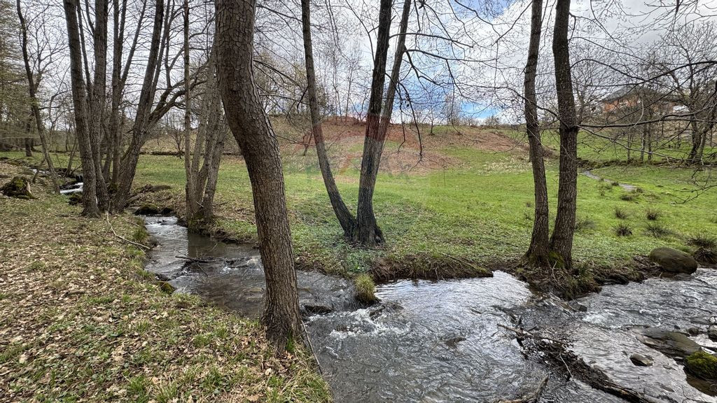Teren de vanzare ideal pentru CABANA-cu un pârau ce trav...