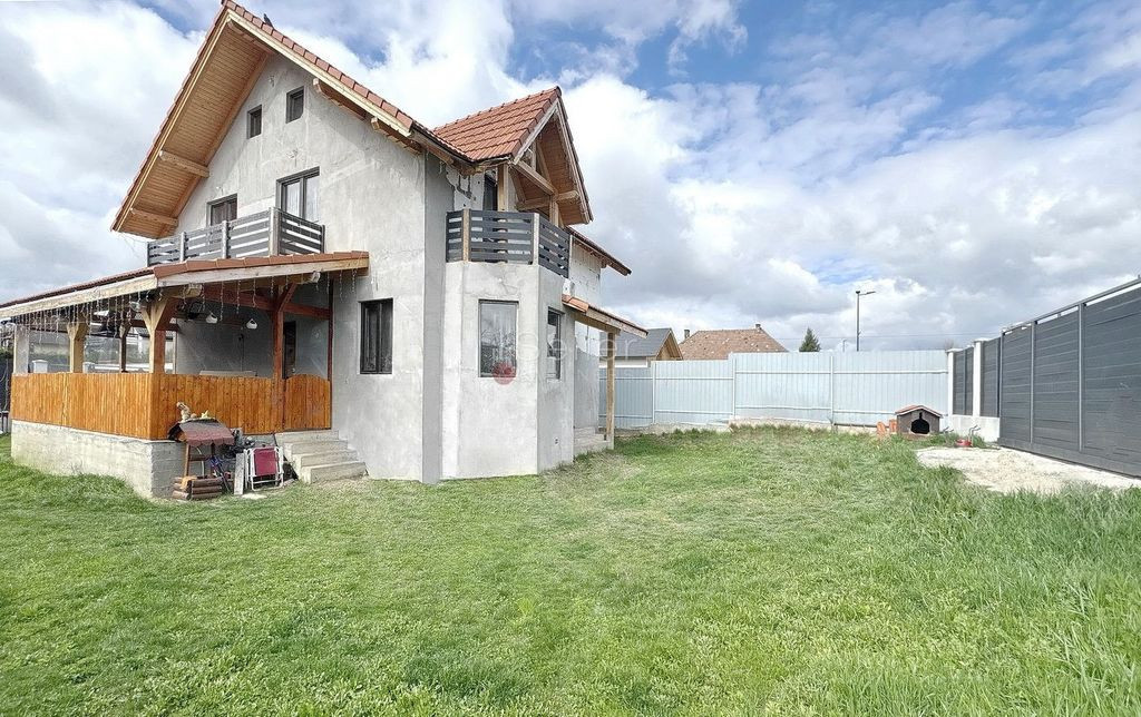 Casa la stadiul de gri