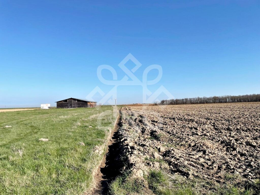 Teren 93.020 mp, sat Pausa, Bihor