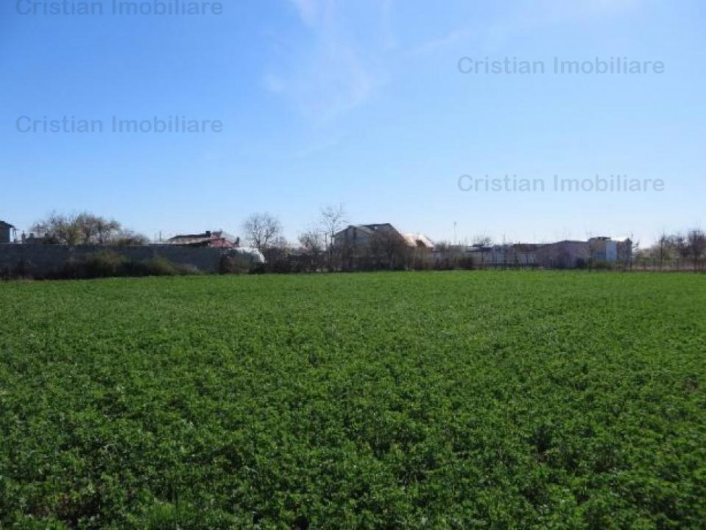 Teren constructii zona Lacu Sarat, suprafata 3393 mp, 22 eu