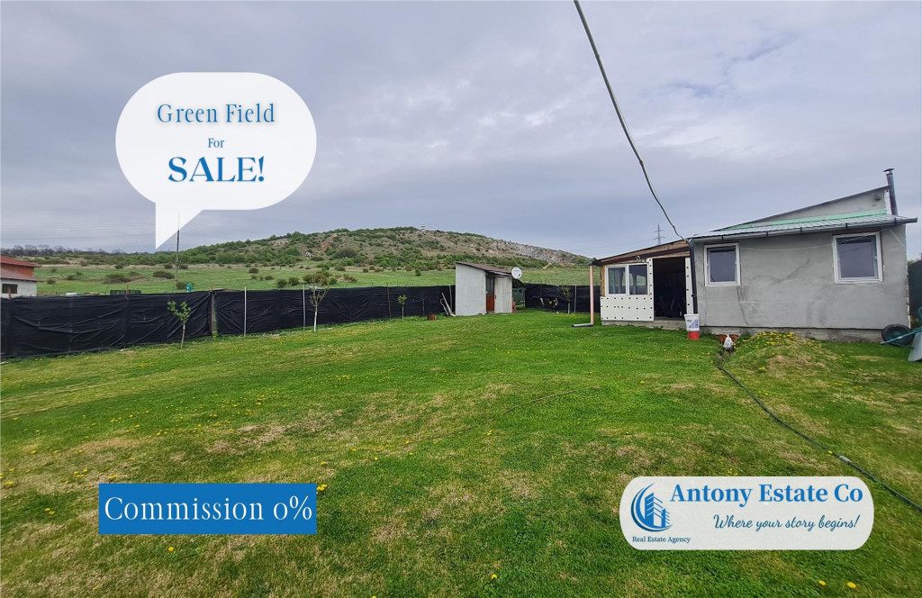 Green Field - casa de , 10 KM de Oradea, Betfia, Bihor