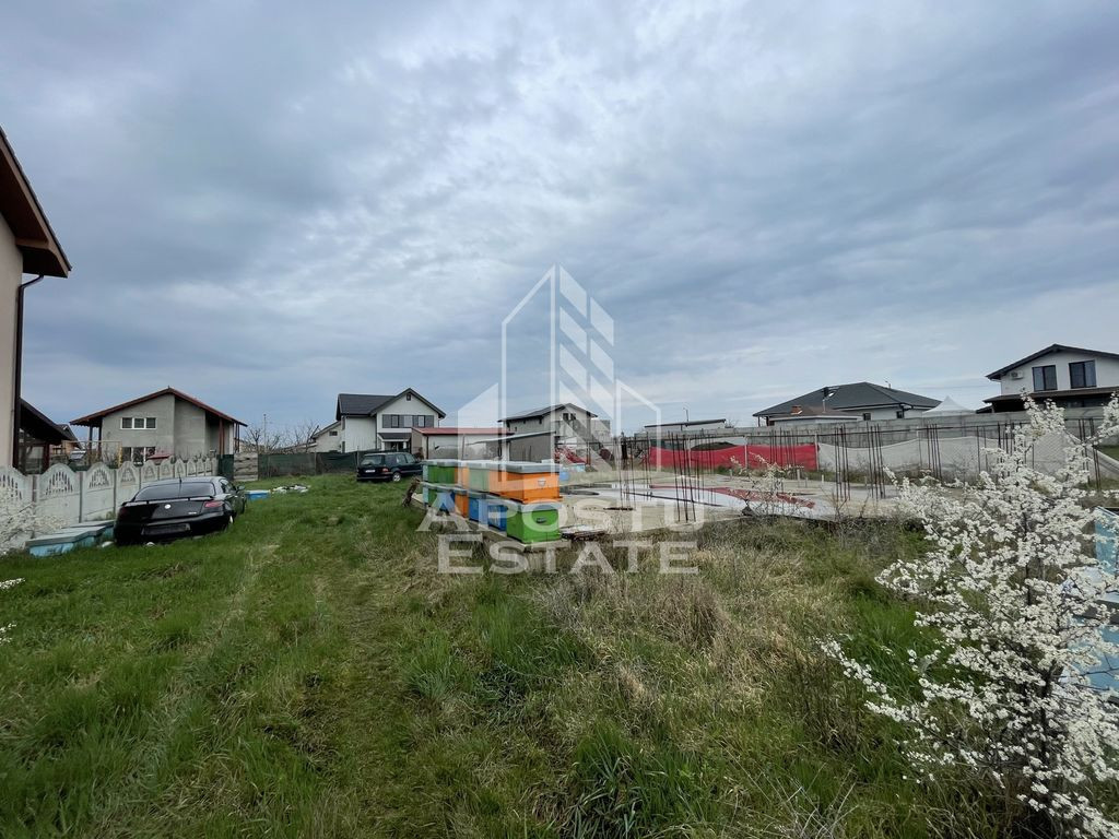 Teren 700 mp cu fundatie si proiect, Giarmata