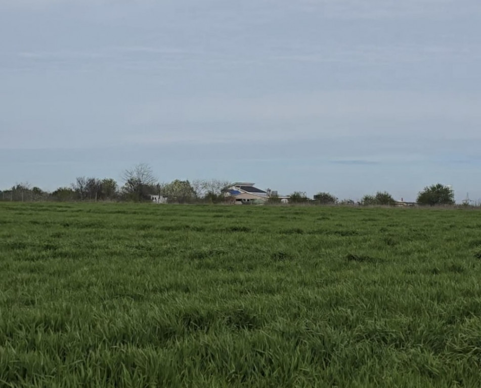 Vanzari terenuri in Agigea zona Golful Pescarului