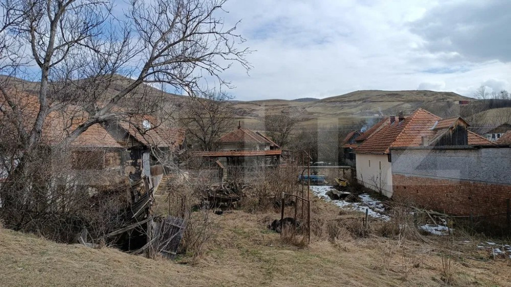 Casă veche cu teren generos de 5.300 mp – oportunitate de