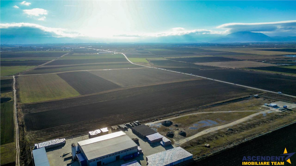 FILM! 60.000mp - Parcela urbana cu documentatie aprobata, po