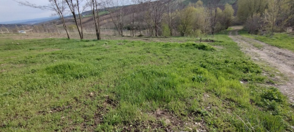 16999euro! Teren Breazu,ideal constructie casa,padure!