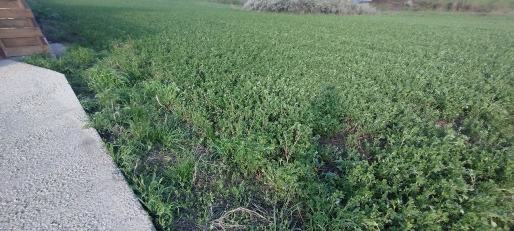 3000mp! Miroslava! Ideal constructie case,hale!