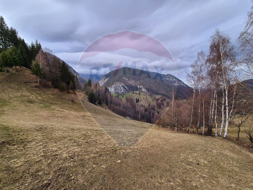 Comision 0 %/ Teren extravilan 13,570mp Pestera / Priveli...