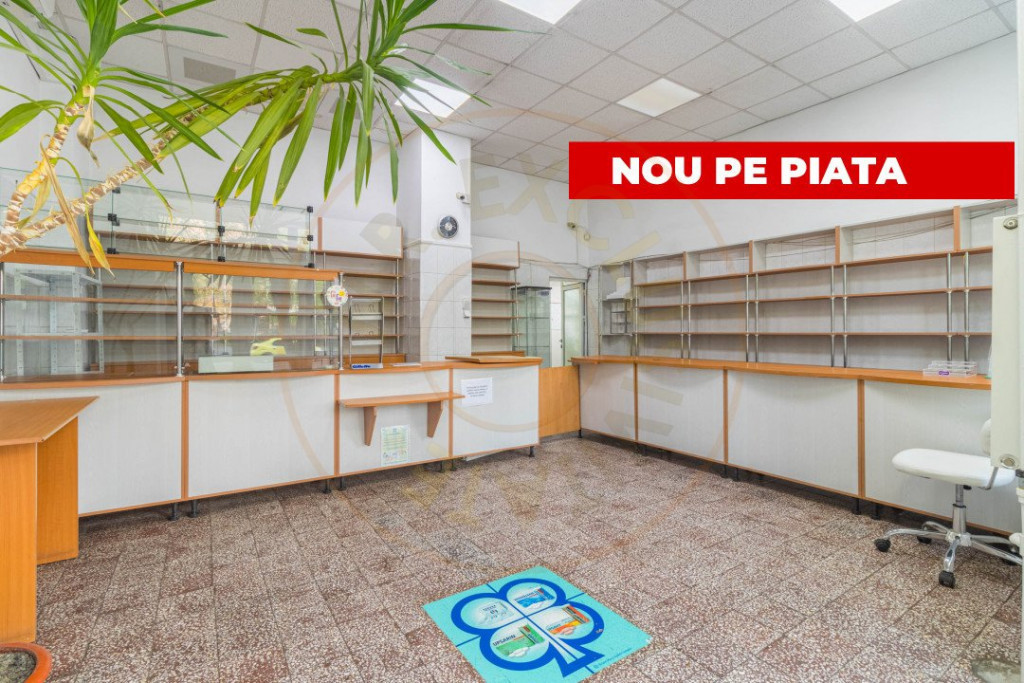 Spațiu Comercial Timisioara-Romancierilor