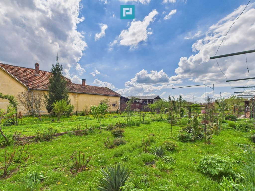 Teren 1300 mp, Beregsău Mare