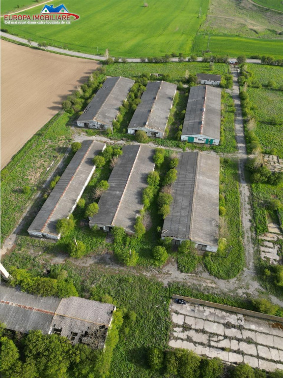 Ferma de in localitatea Bestepe