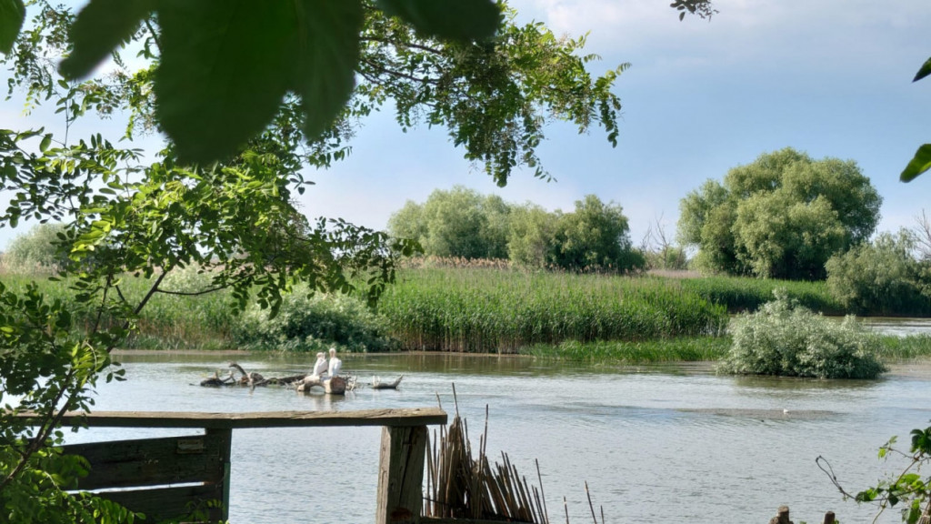 MILA 23 - CASA BATRANEASCA CU DESCHIDERE LA DUNARE 18 ML , T