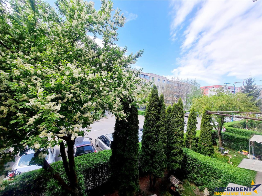 Confort si liniste:Garsoniera decomandata, cu gradini verzi