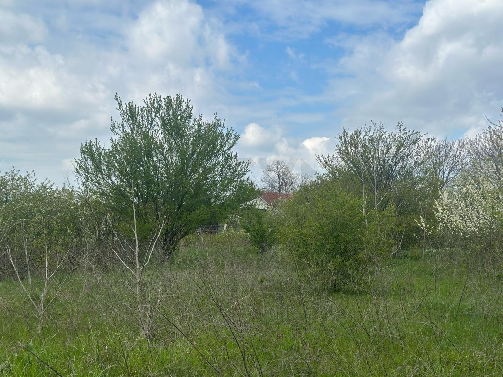 Teren de Popesti Leordeni