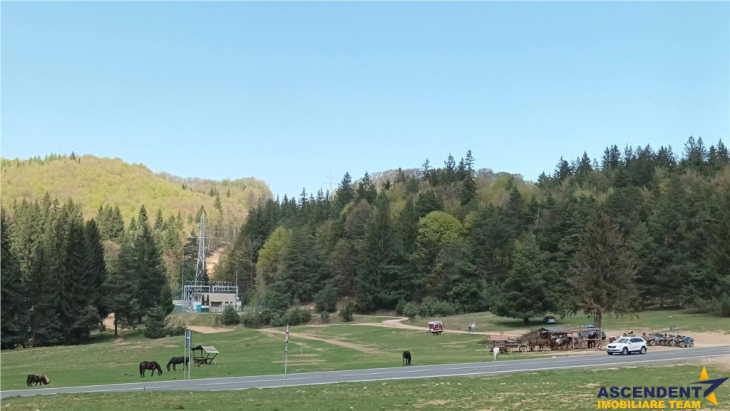 Teren cu potential:1.000 mp,proiect turistic rezidential,Poi