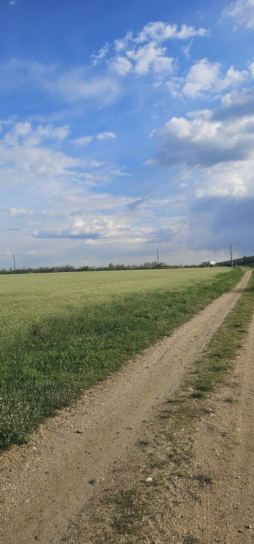 Teren Carcea,centura de sud