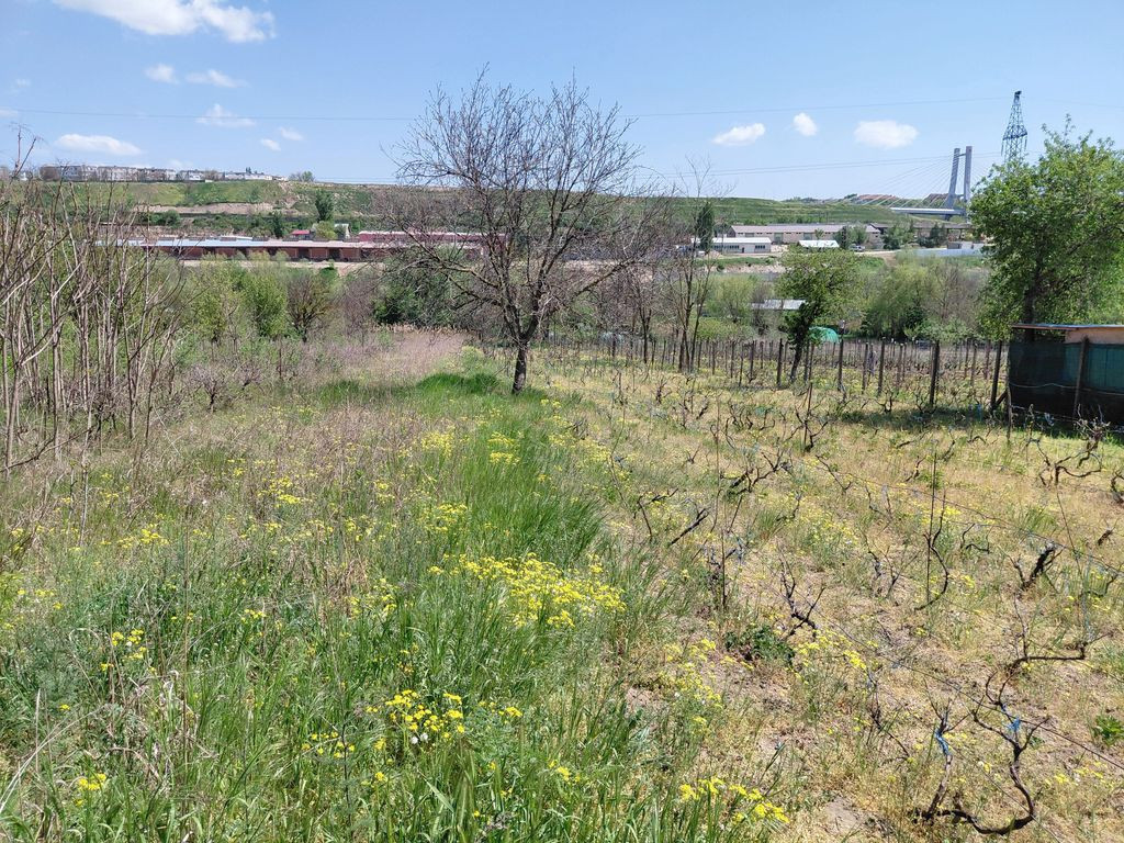 Teren intravilan 3.250 mp în Filești – Ideal pentru c...