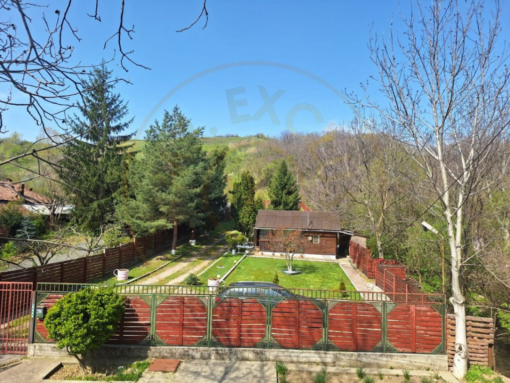 CASA DE VACANTA - UN MIC COLT DE RAI , STEFANESTI, ARGES