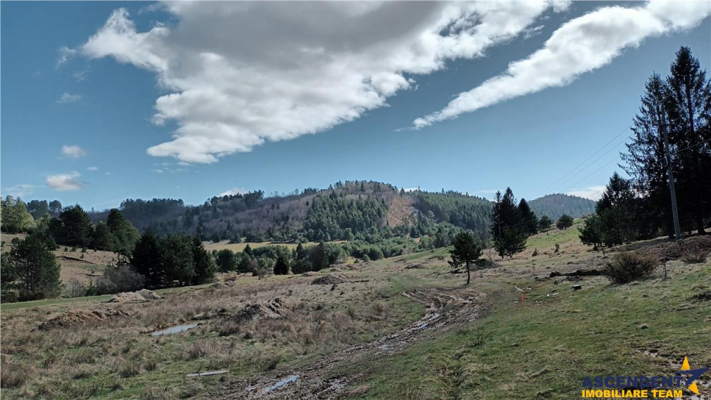 Teren cu ape curgatoare, in zona de poveste, Zarnesti