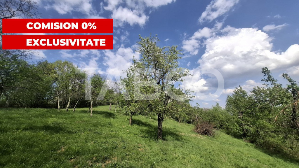 Exclusivitate- Teren de vanzare intravilan 3036 mp Sibiel Si