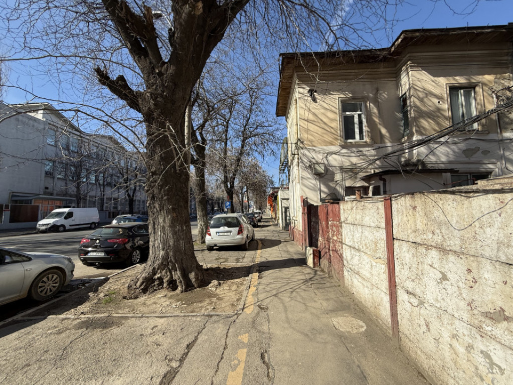 Proprietate Stradala pe Soseaua Viilor – Ideala pentru Afa