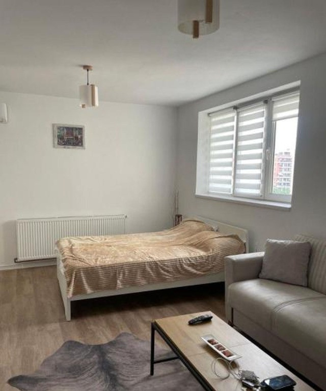 Stefan cel mare parcl circului