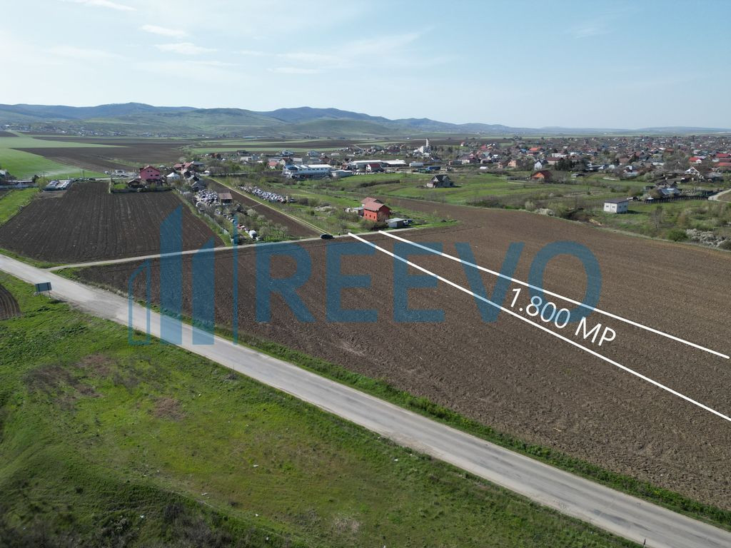 Teren de vânzare, Com. Nicolae Bălcescu, Jud. Bacău