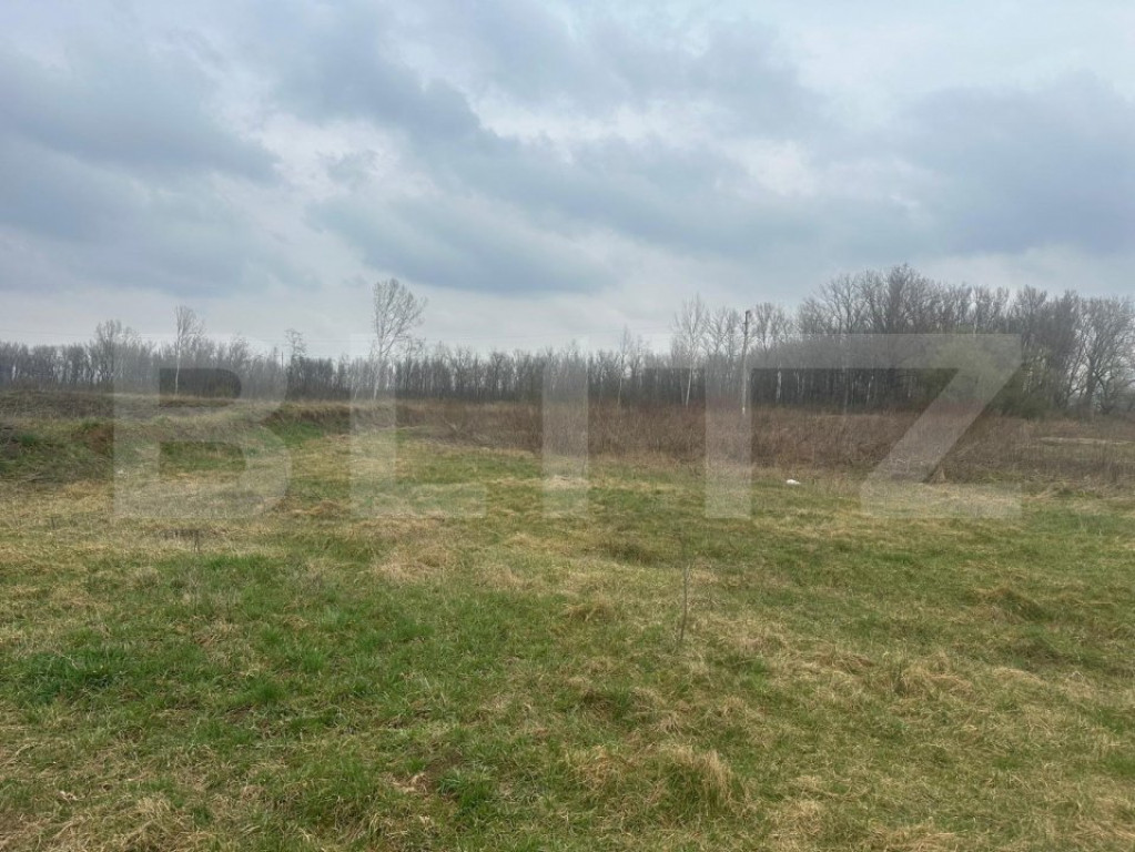 Teren intravilan de vanzare, 4.844 mp, zona Scheia