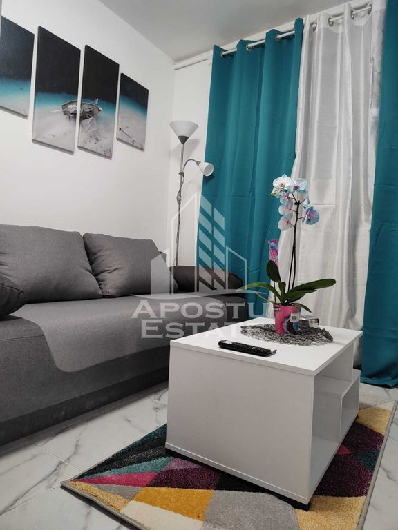 Garsoniera complet renovata,zona Take Ionescu/Medicina
