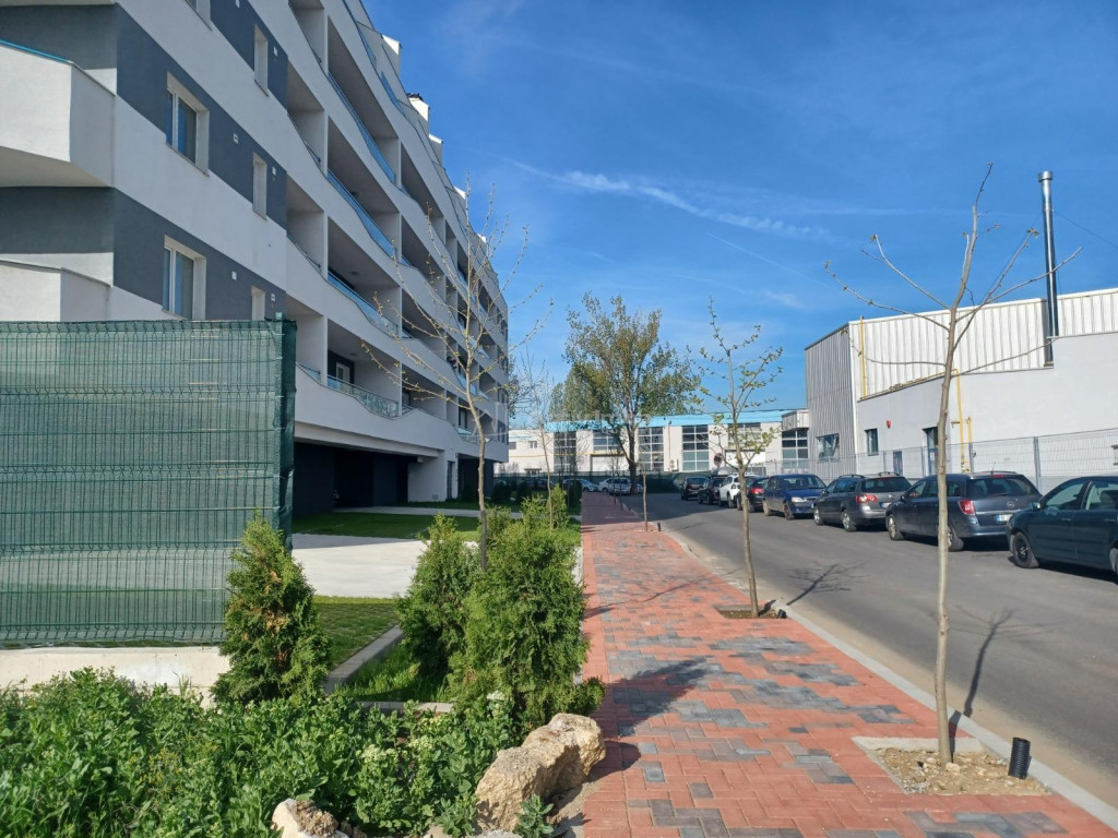 Teren Palady- Anghel Saligny