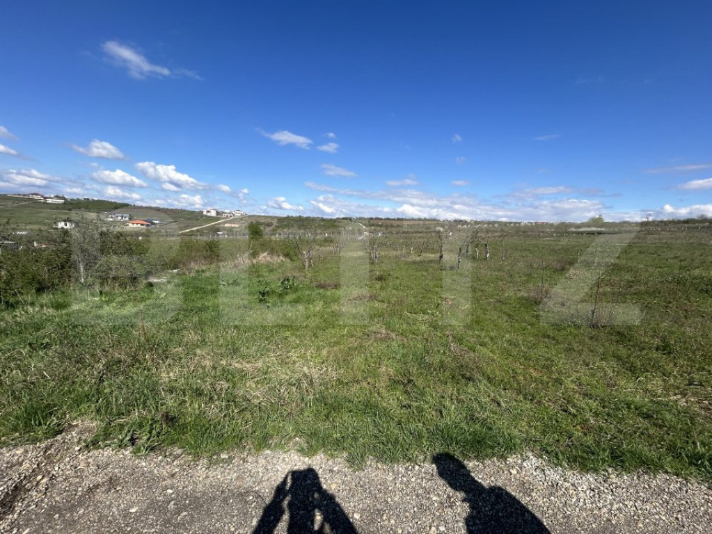 Teren intravilan de vanzare, 1153 mp, zona Iorga