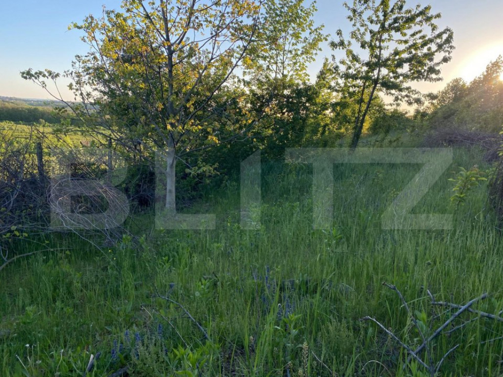 Teren generos, 2700 mp, zona Bucium