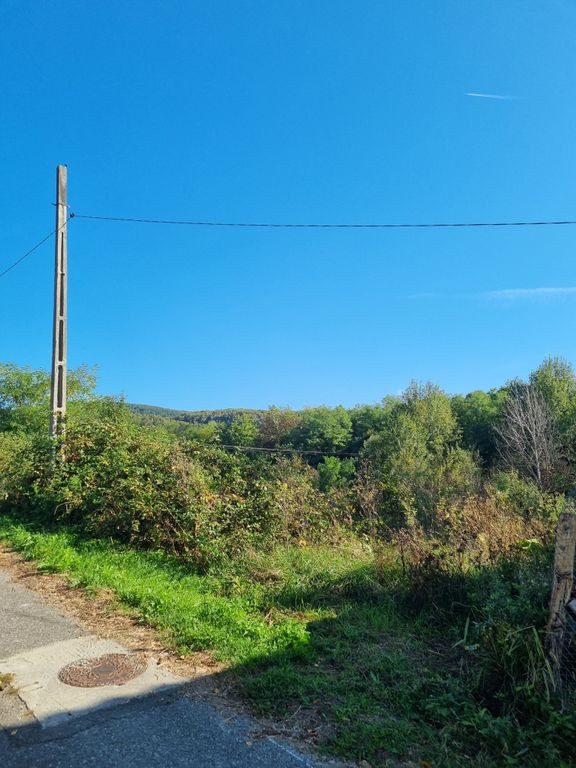 Teren intravilan 3000 mp | Vladesti | AT-011