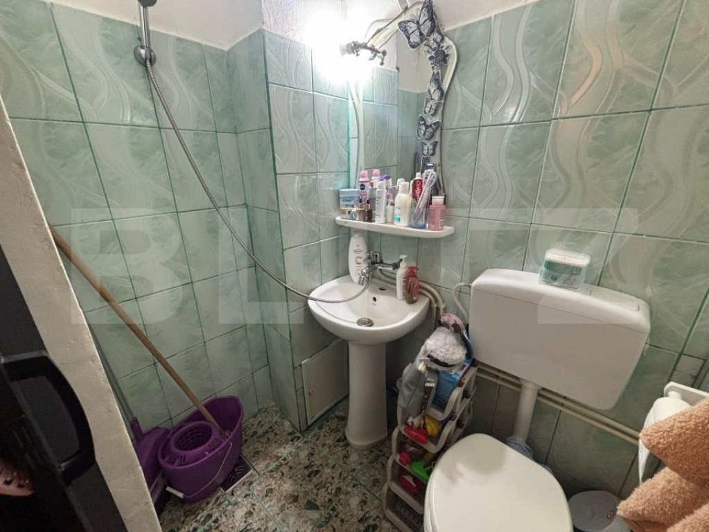 Camera de camin, de vanzare, 20 mp, zona Lapus