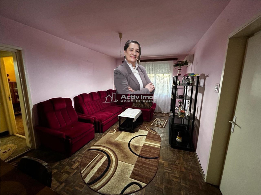 Bocsa, Apartament sau Cabinet Medical, 2 Camere.Conf.1, Zona