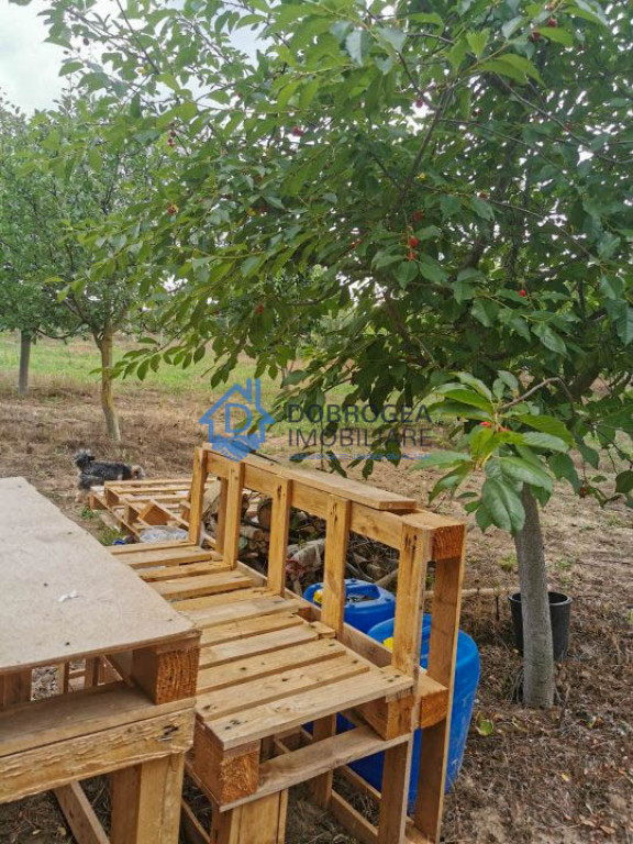 ZONA C.A.P.-TEREN INTRAVILAN ,608MP