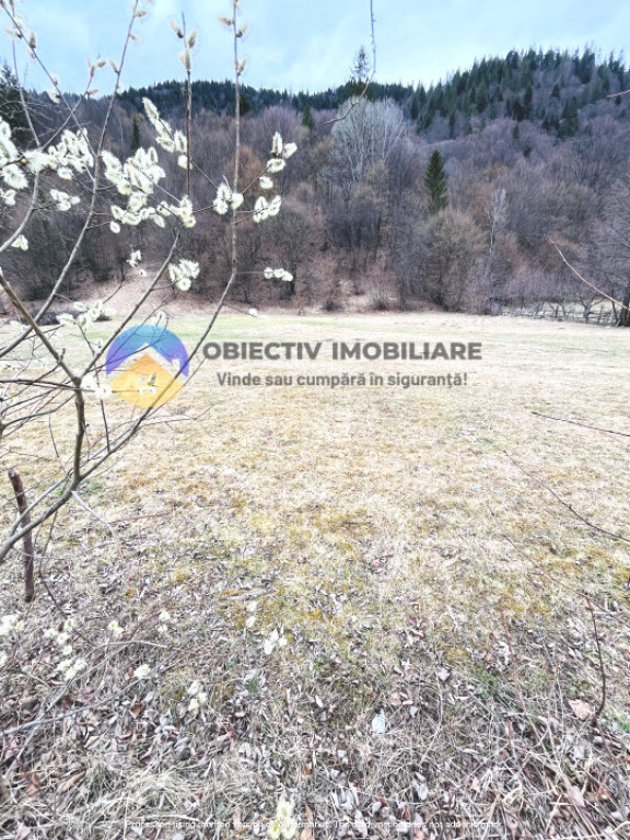 TEREN zona de munte TARCAU