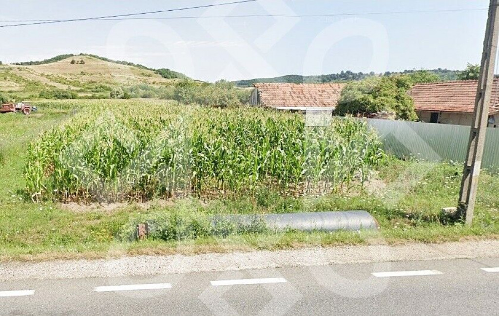 Teren intravilan de suprafata 3544mp zona Tileagd