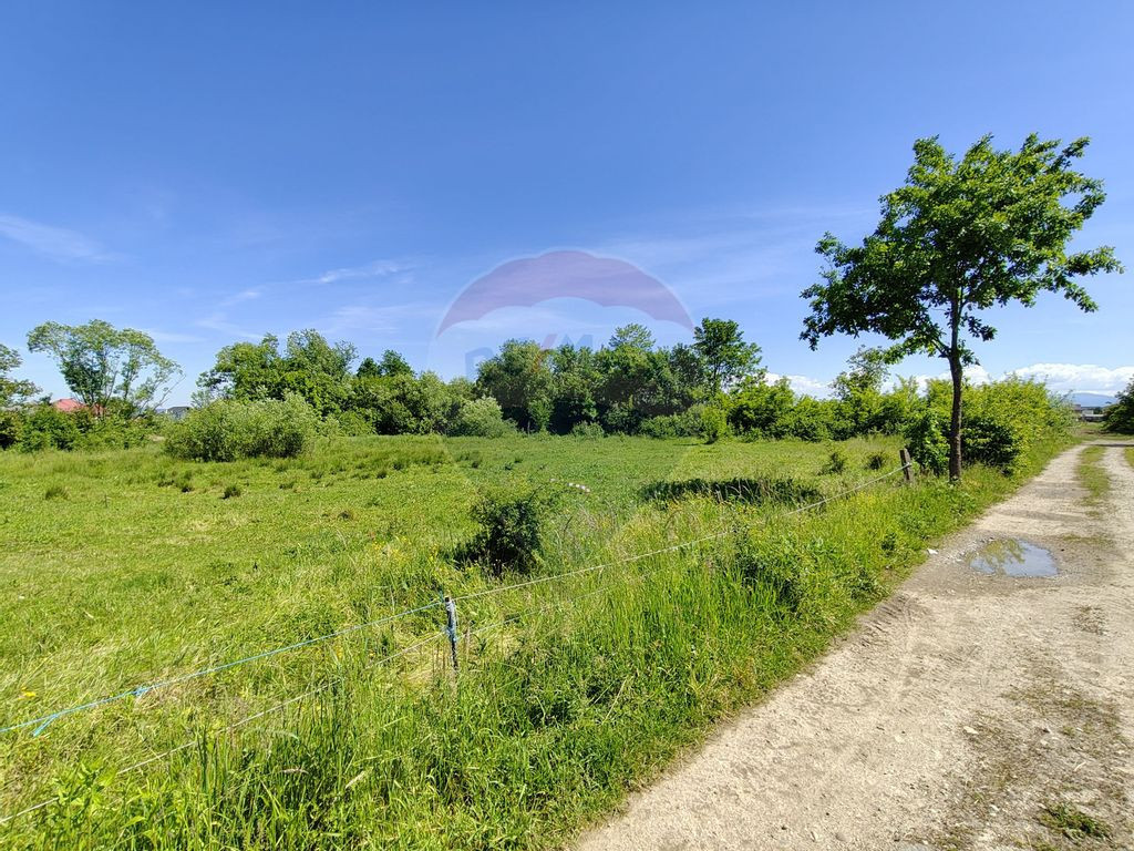 Teren Intravilan de Vanzare