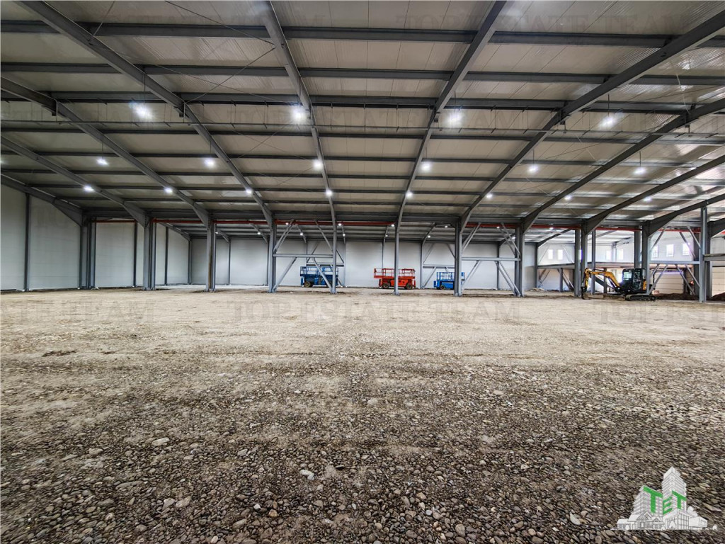 Hala Industriala Balotesti - Spatiu Generos si Accesibilitat