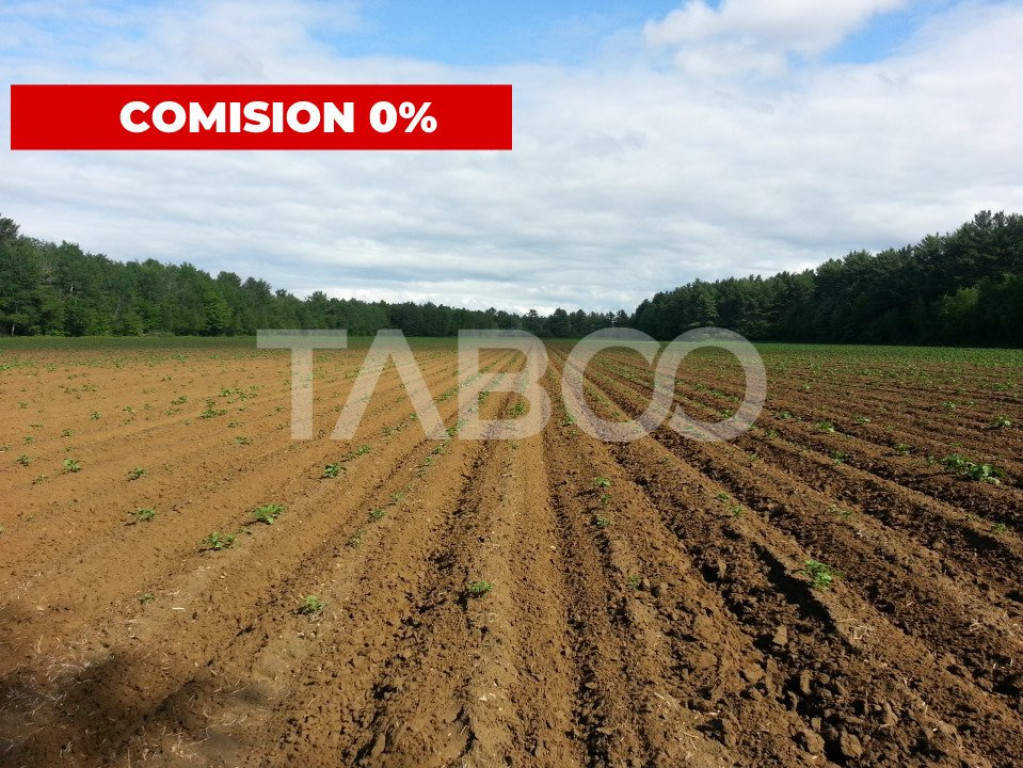 Teren intravilan arabil 57.800mp utilitati acces tir Pianu d