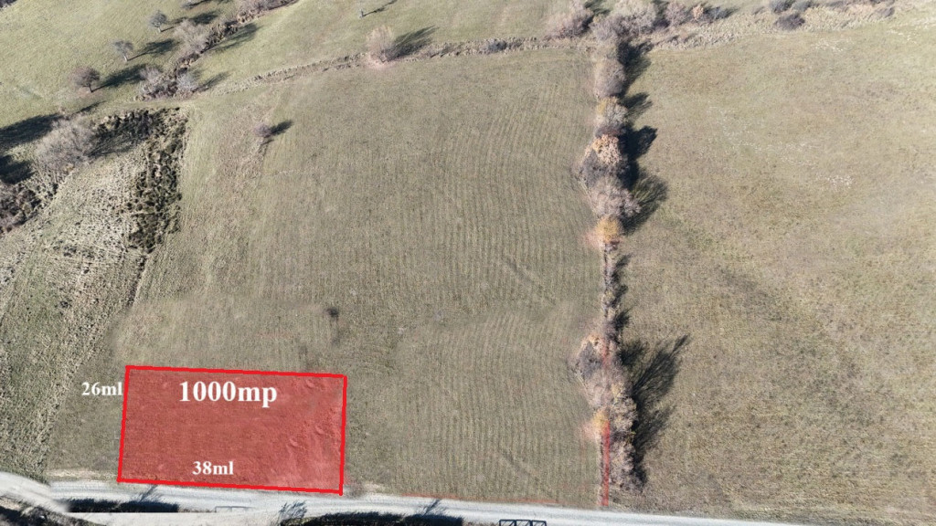 Teren extravilan 1000mp in Tocile de Jos