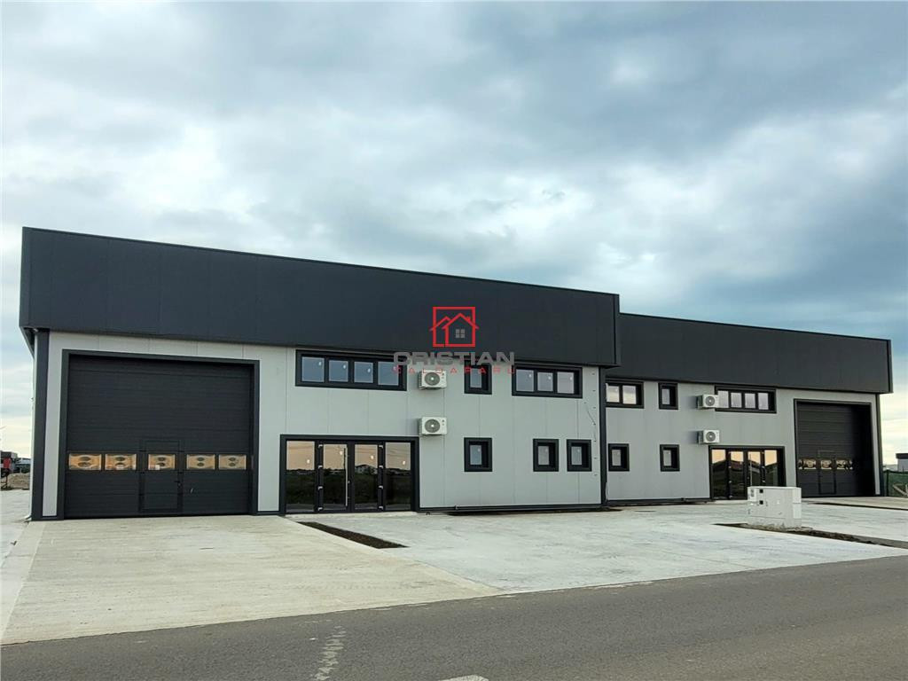 Depozit/hala/spatiu industrial Domnesti - Centura, Ilfov