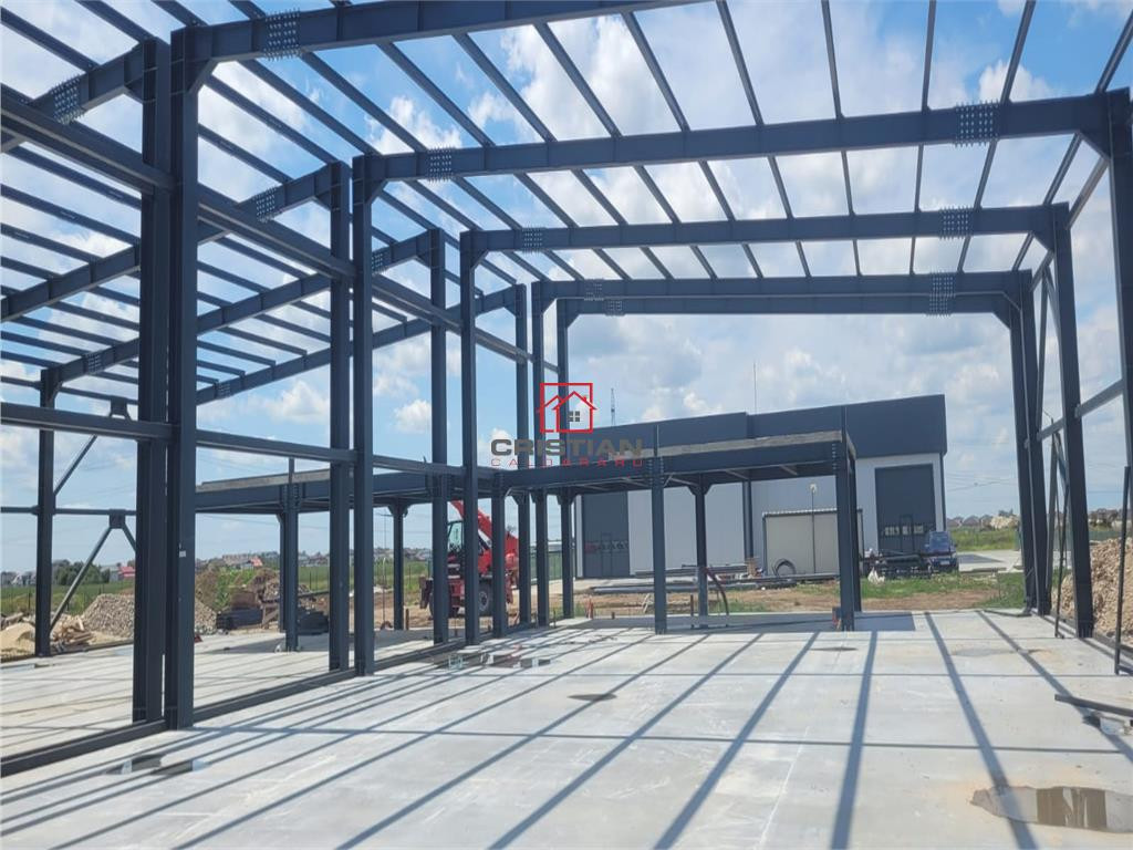 Depozit/hala/spatiu industrial Domnesti - Centura, Ilfov