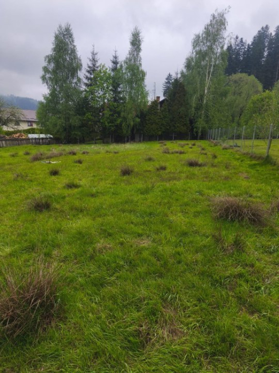 Teren intravilan, 1353mp, Sucevita, Radauti