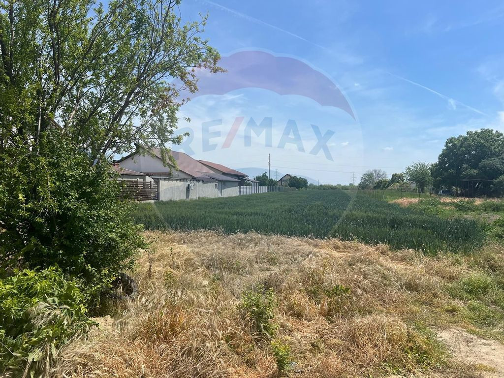 Teren extravilan Campineanca / Strada Mihai eminescu