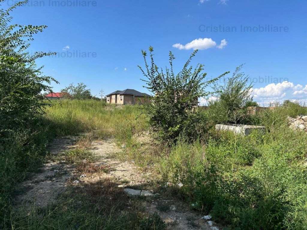 1073mp cu 25m deschidere Radu Negru Buzaului 121Euro/ mp