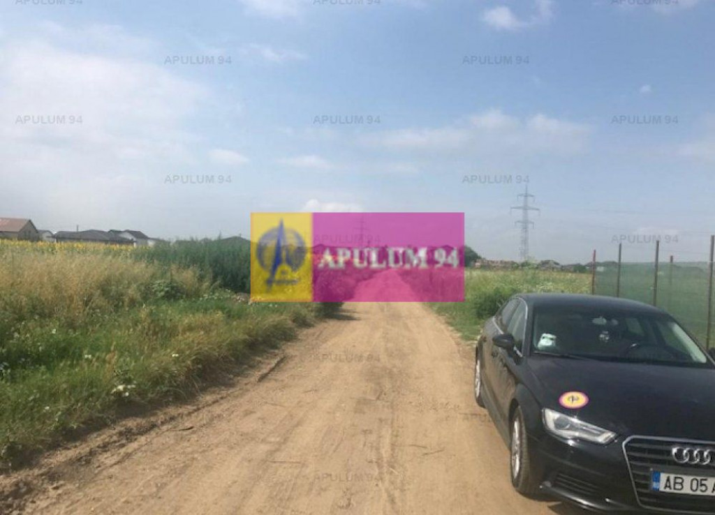 Teren Berceni- Tarla 16.