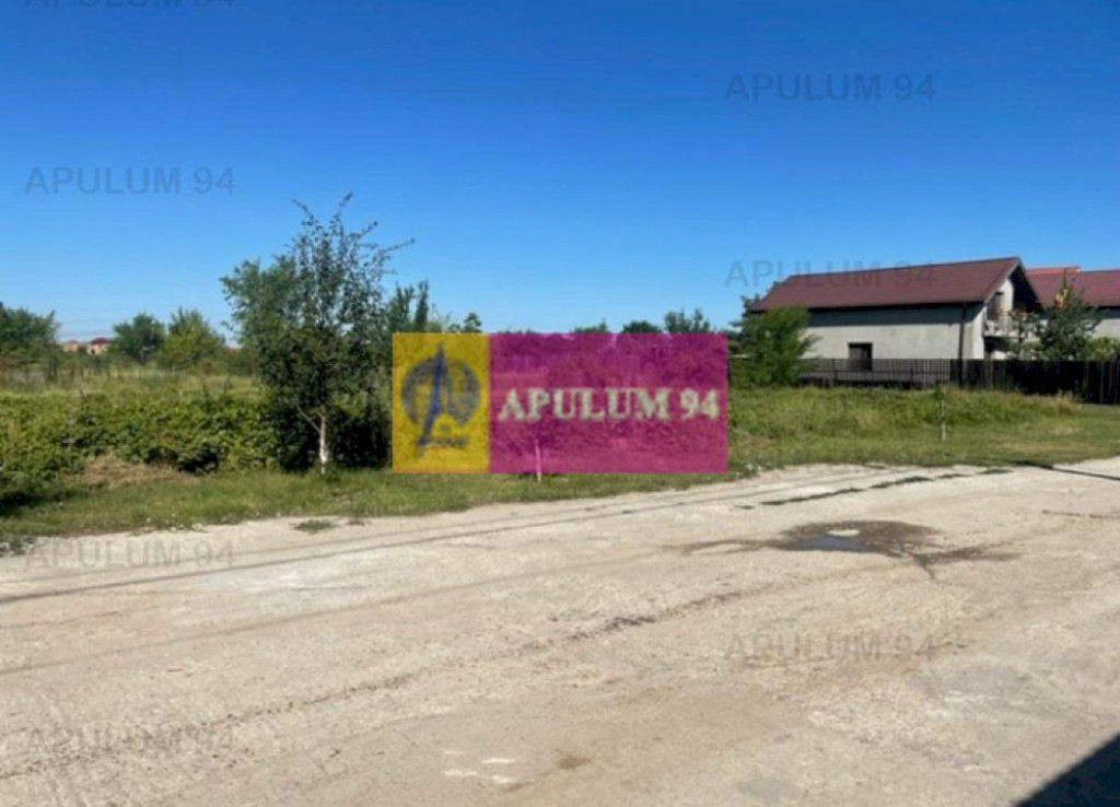 Teren Clinceni- Putu Olteni- Ortansei.